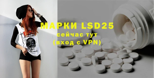 mdpv Богородицк