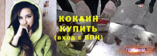 mdpv Богородицк